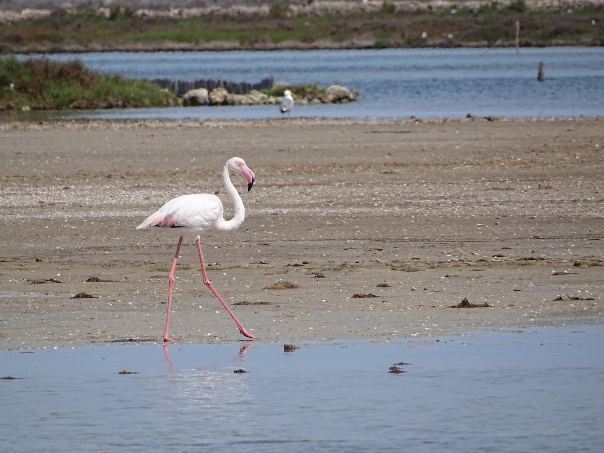 Los Suenos Del Mar Menor San Javier Exteriér fotografie